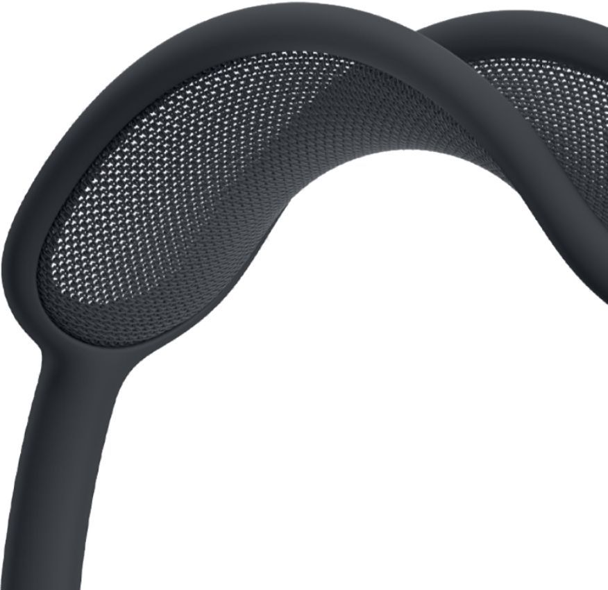 Apple AirPods Max (No Case Included)