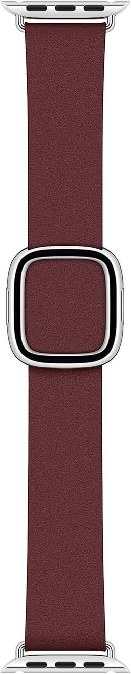 Apple Watch Modern Buckle Band (40mm)