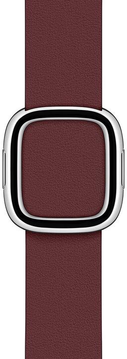 Apple Watch Modern Buckle Band (40mm)