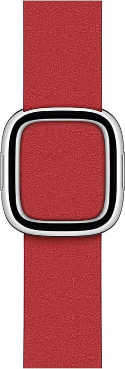 Apple Watch Modern Buckle Band (40mm)