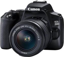 Canon EOS 250D Kit (EF-S 18-55mm DC III) DSLR Camera - Black