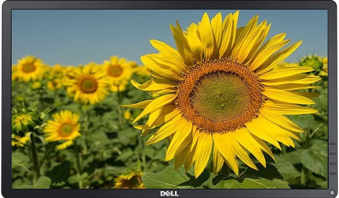 Dell  P2214Hb Widescreen LCD Monitor (No Stand) 22" - Black - Excellent