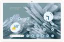 Google Pixel Tablet in Porcelain in Premium condition