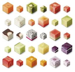 Sage SFP838 the Paradice 16 Food Processor