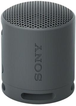 Sony SRS-XB100 Portable Wireless Speaker