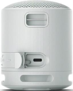 Sony SRS-XB100 Portable Wireless Speaker
