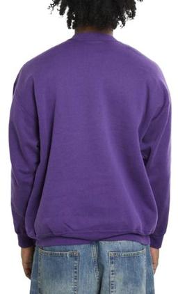 Stonehill College Sweatshirt L - Purple