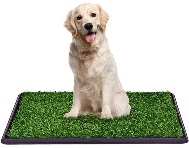 Truepal  Indoor Dog Potty Toilet Grass Tray Pads Training Puppy Medium Mat in Pet Potty with 1 Grass Mat in Brand New condition